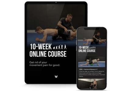 Bundle Deal: 10-Week Course + Longevity Protocol