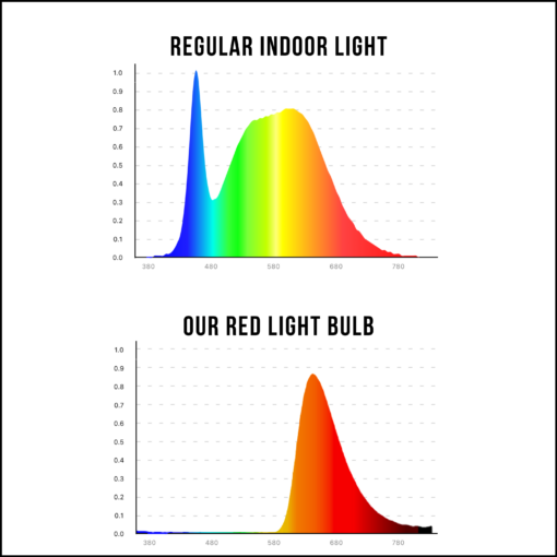 Blue Light Blocking Bulb - Image 3